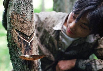 What Is Urushi? A Guide to Traditional Natural Lacquer